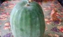 冬瓜盅的做法视频教程,营养滋补家常菜教程